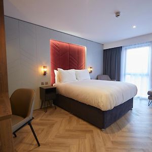 Studio met een King Size Bed